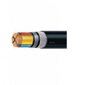 Polycab 4 Sqmm 2 Core Single Stranded Aluminium Conductor Cable, 100 mtr